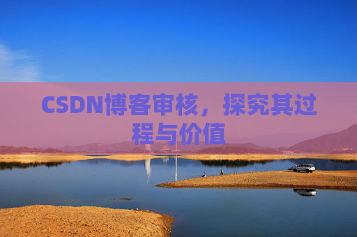 CSDN博客审核，探究其过程与价值